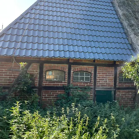 Unter Reet Ferienhaus