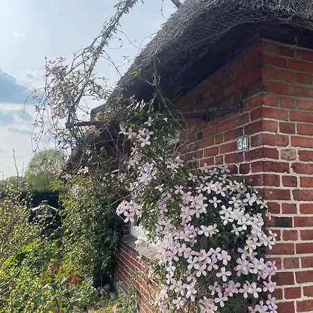 Unter Reet Ferienhaus